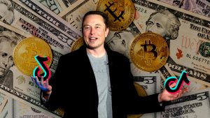 „TikTok“ platformoje plinta netikros Elono Musko kriptovaliutų dovanojimo akcijos