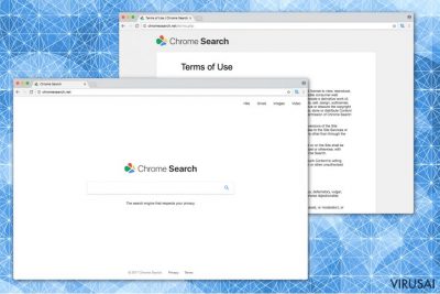 Chromesearch.net paieškos sistemos nuotrauka