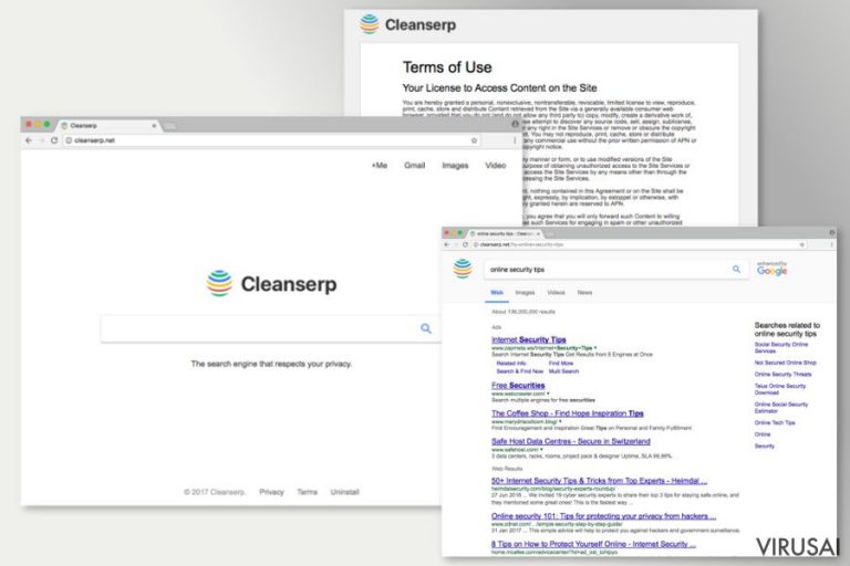Cleanserp.net viruso pateikiami paieškos rezultatai