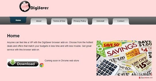 DigiSaver ekrano nuotrauka DigiSaver ekrano nuotrauka