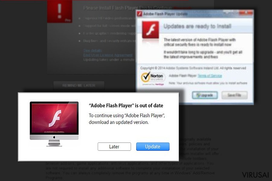 Flash Player Update! ekrano nuotrauka Flash Player Update! ekrano nuotrauka
