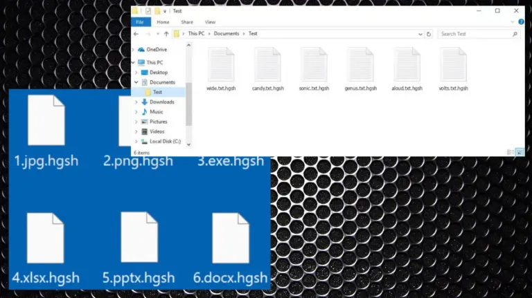 Hgsh ransomware