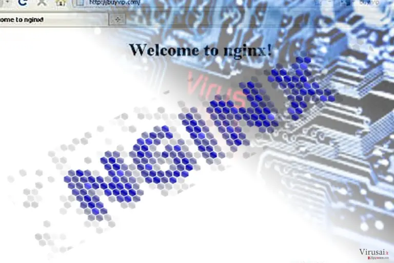 Nginx viruso pavyzdys