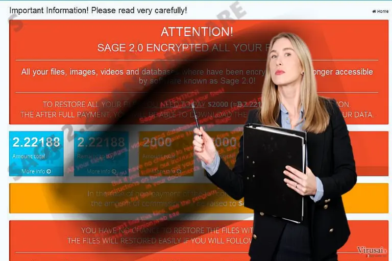 Sage 2.2 viruso pavyzdys