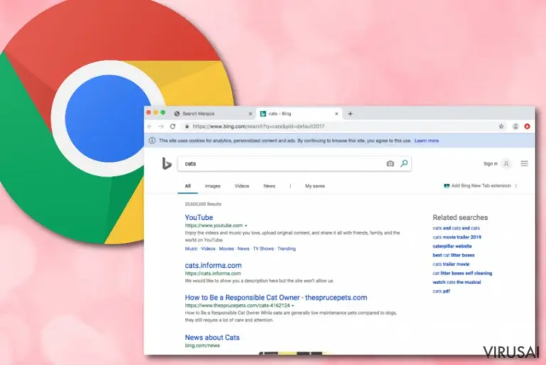 Searchmarquis.com nustatymai