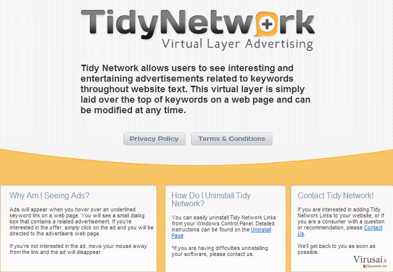 TidyNetwork.com ekrano nuotrauka TidyNetwork.com ekrano nuotrauka