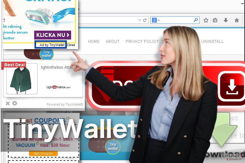 TinyWallet reklamos TinyWallet reklamos