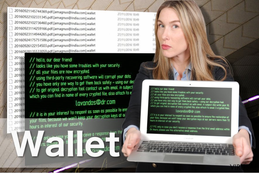 Wallet viruso pavyzdys Wallet viruso pavyzdys