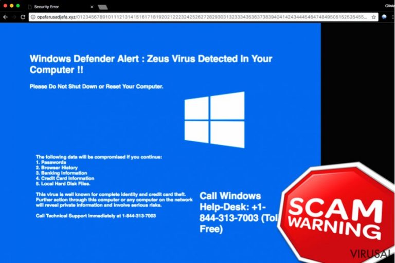 "Windows Defender Alert: Zeus Virus” pranešimo pavyzdys