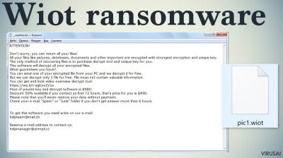 Wiot ransomware