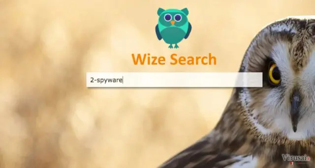 Oficialus Wize Search puslapis