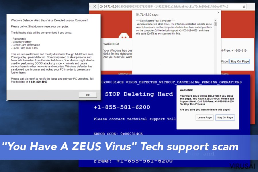 "You Have A ZEUS Virus" virusas ekrano nuotrauka "You Have A ZEUS Virus" virusas ekrano nuotrauka