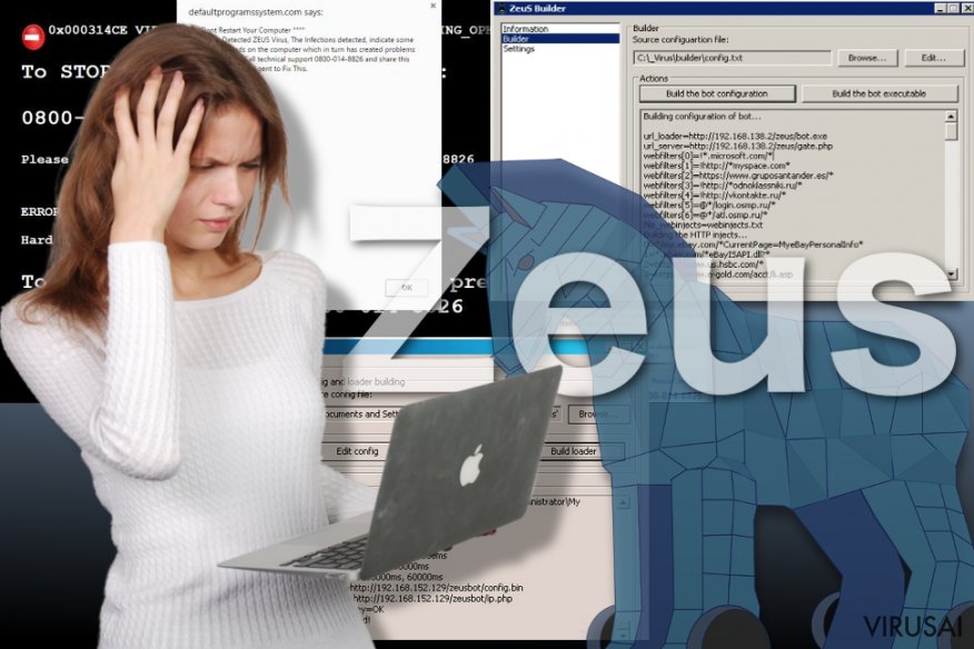 Zeus viruso pavyzdys Zeus viruso pavyzdys