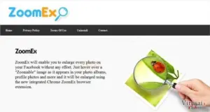 ZoomEx