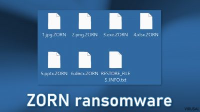 ZORN ransomware